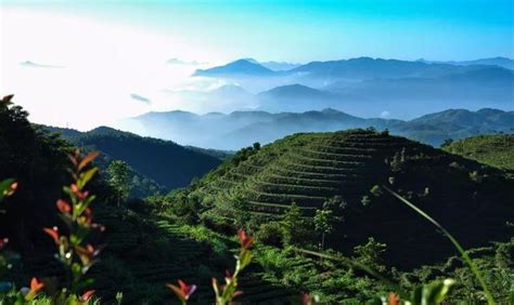 背靠山|浅谈“负阴抱阳，背山面水”与人们的居住关系